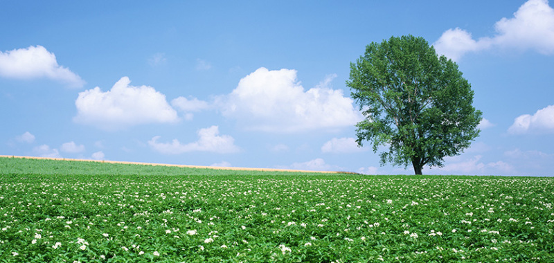 ゆまにて　イメージ